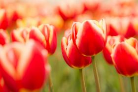 Нажмите, чтобы увеличить изображение