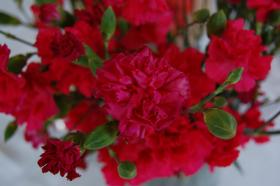 Нажмите, чтобы увеличить изображение